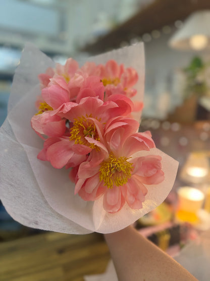 Peonies