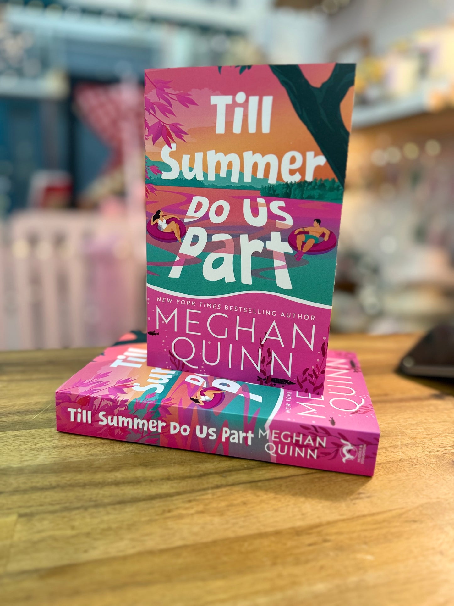Till summer do us part - Meghan Quinn